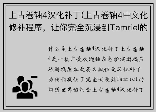 上古卷轴4汉化补丁(上古卷轴4中文化修补程序，让你完全沉浸到Tamriel的幻想世界)
